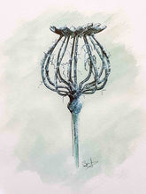 Charger l'image dans la galerie, A5 print "Poppy skeleton" Misty Stroll by Pauline Scarangella