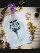 Charger l'image dans la galerie, A5 print "Poppy skeleton" Misty Stroll by Pauline Scarangella