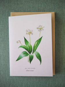 Greeting card Wild garlic